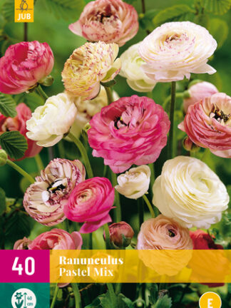 Boglárka Pasztell Mix 40 db