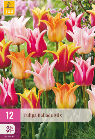 Tulip "Ballada" Mix 12 db