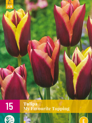 Tulip "Kedvenc feltét" Mix 15 db
