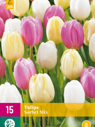 Tulip "Szörbet" Mix 12 db