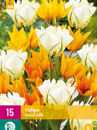 Tulip "Napfürdő" Mix 15 db