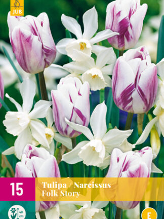 Tulip/Nárcisz "Népmese" Mix 15 db