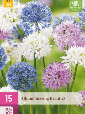 Allium "Zümmögők kedvence" mix 15 db