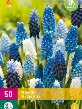 Gyöngyike Mix 50 db