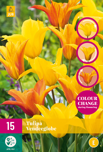 324650