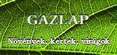 gazlap logo